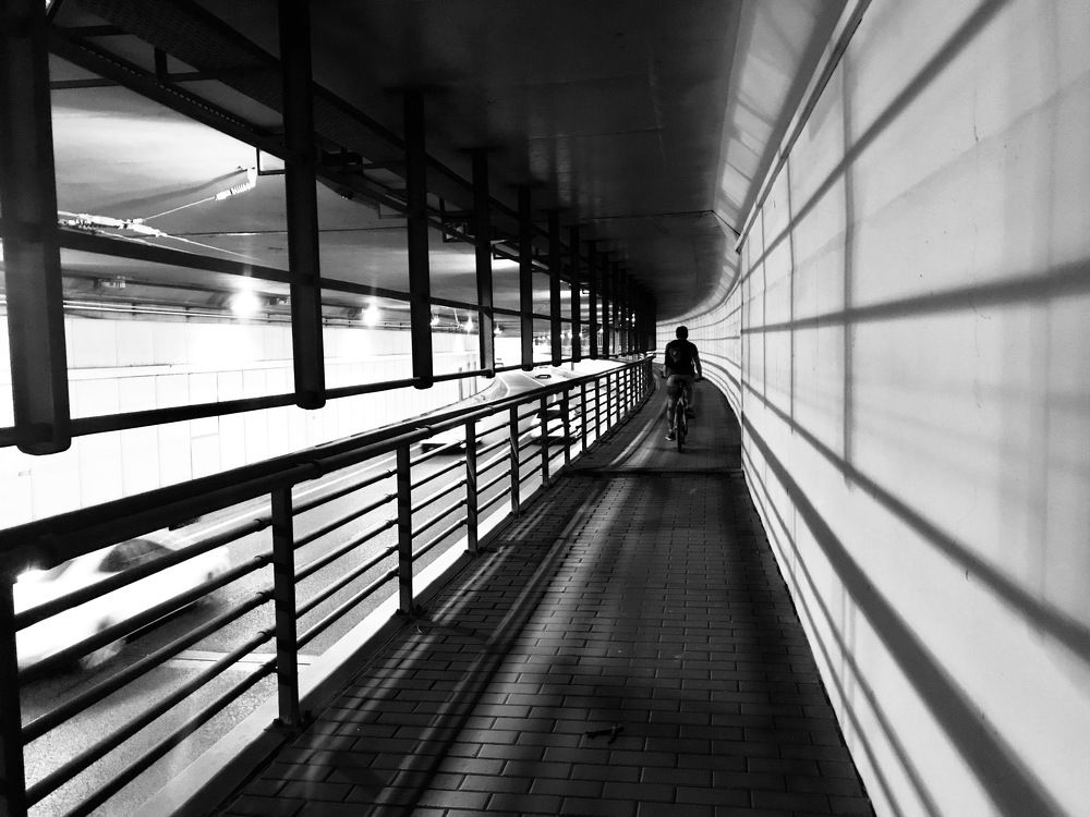 Движение - жизнь