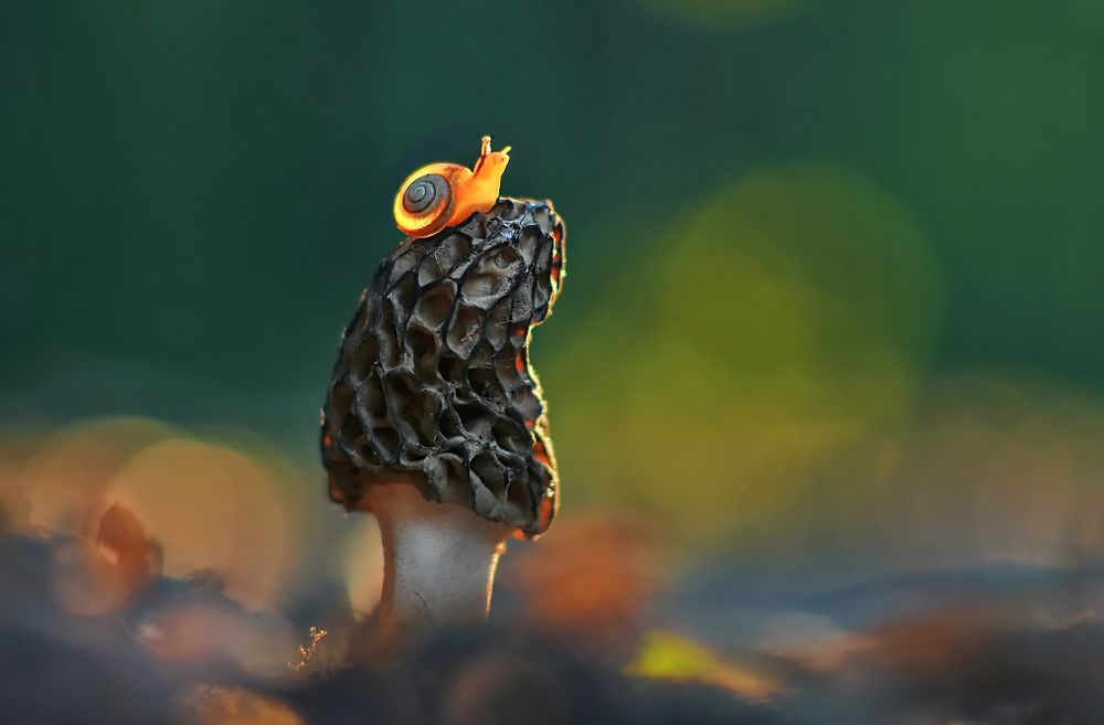 Провожая солнце...