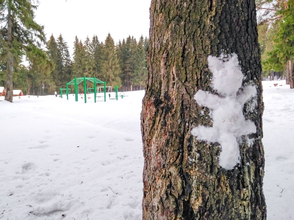 Photograph by Василь Балтаев