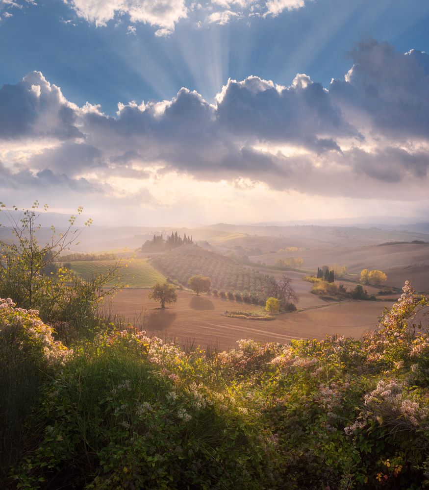 Утро в Тоскане