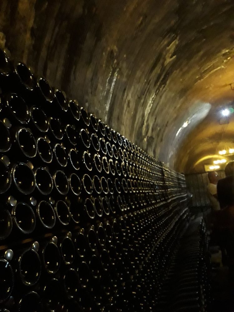 Photograph by Елизавета Шевченко