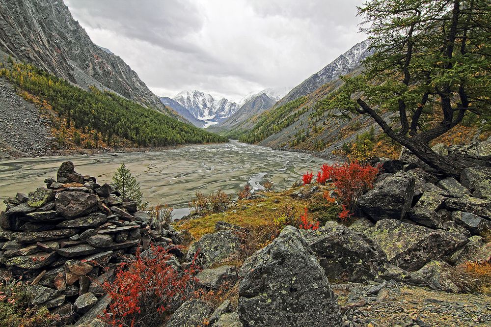 Холодный огонь барбариса.