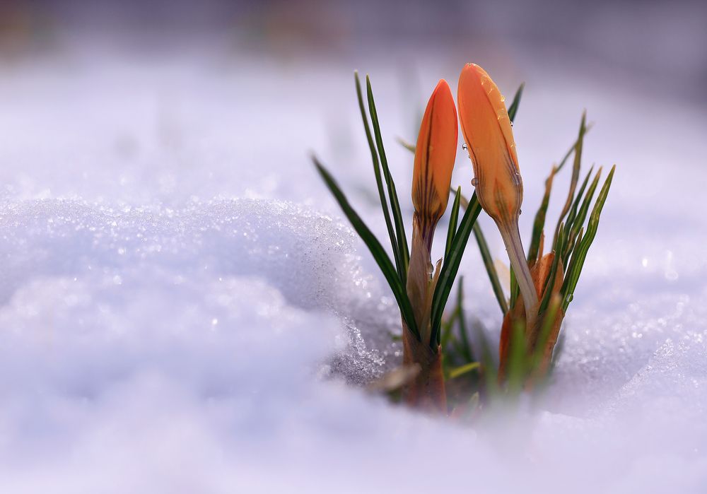 Вместе теплее.