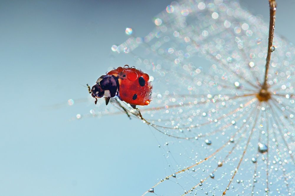 Photograph by Дарья Медведева