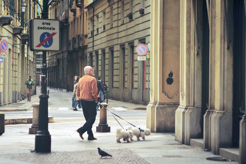 Окруженные геометрией...