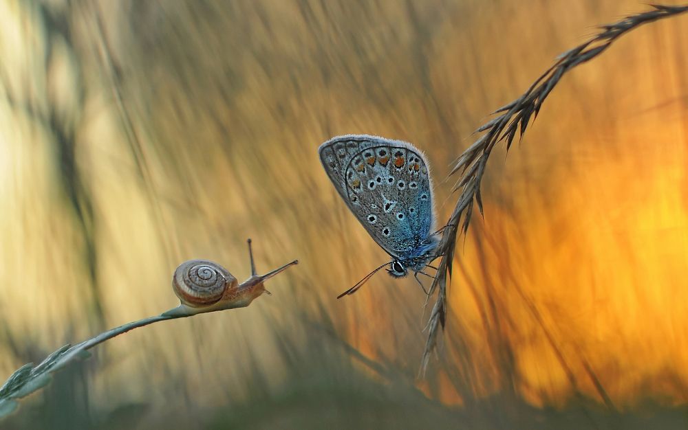Вечерние посиделки...