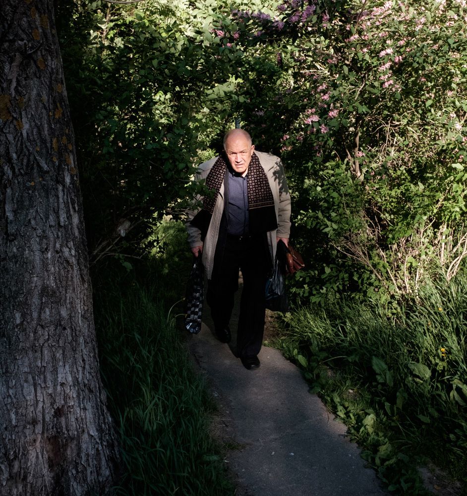 Сквозь ветви