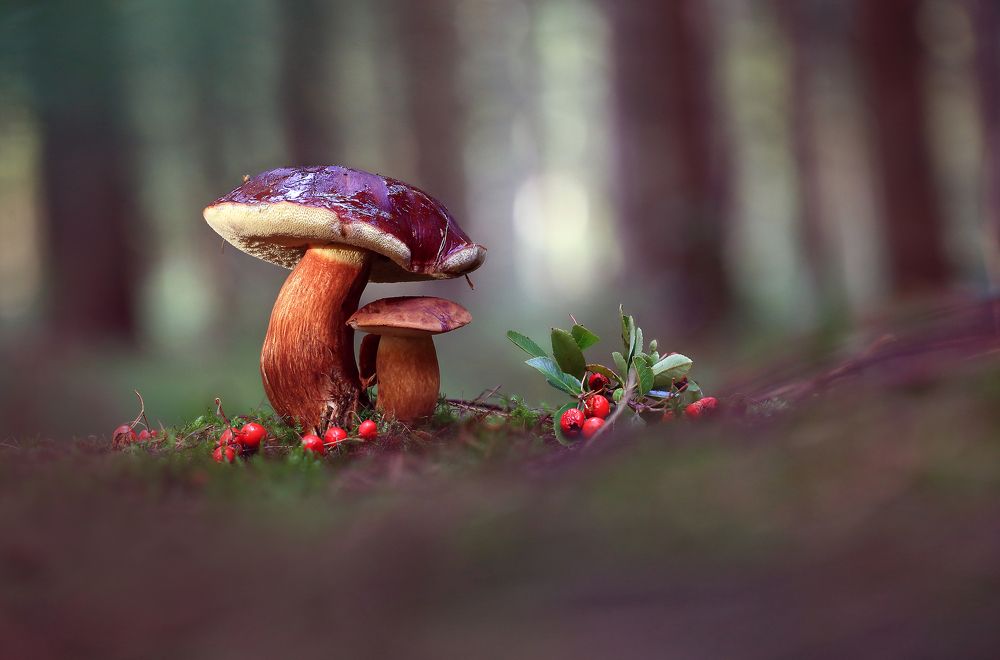 Не бойся я тебя прикрою.