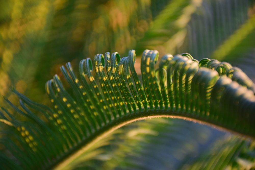 Photograph by Александр Баран