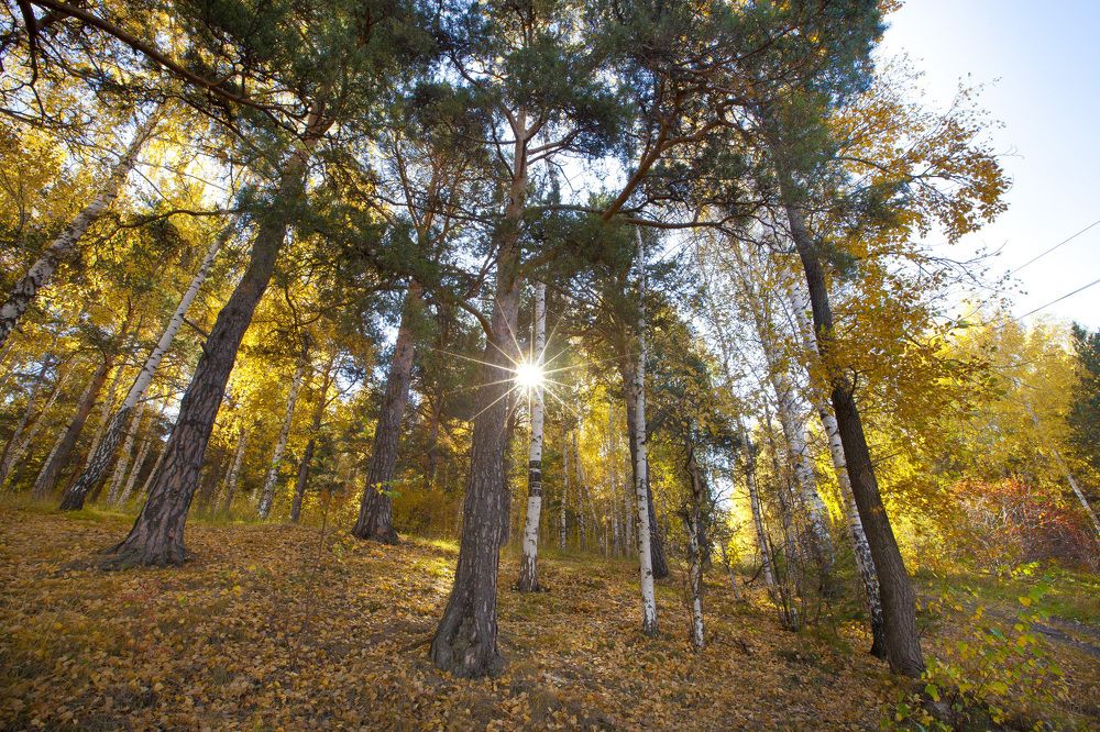 Золотая осень на Урале