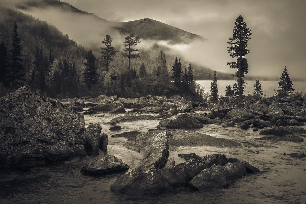 спокойное утро