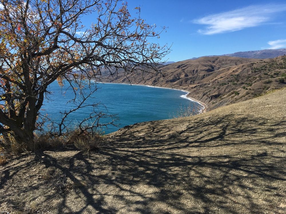 Photograph by Виктория Долотказина