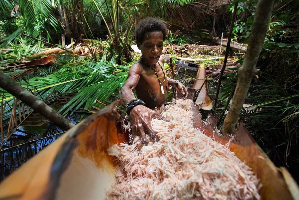 Племя короваев, Папуа