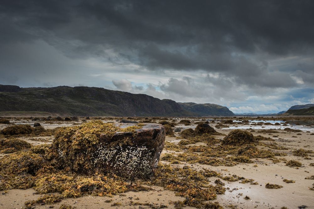 Photograph by Артем Зубарев