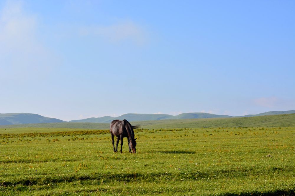 Photograph by Анатолий Орлов