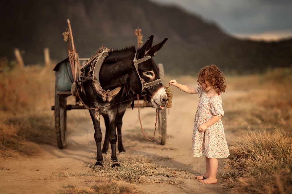 Photograph by Юлия Твердова