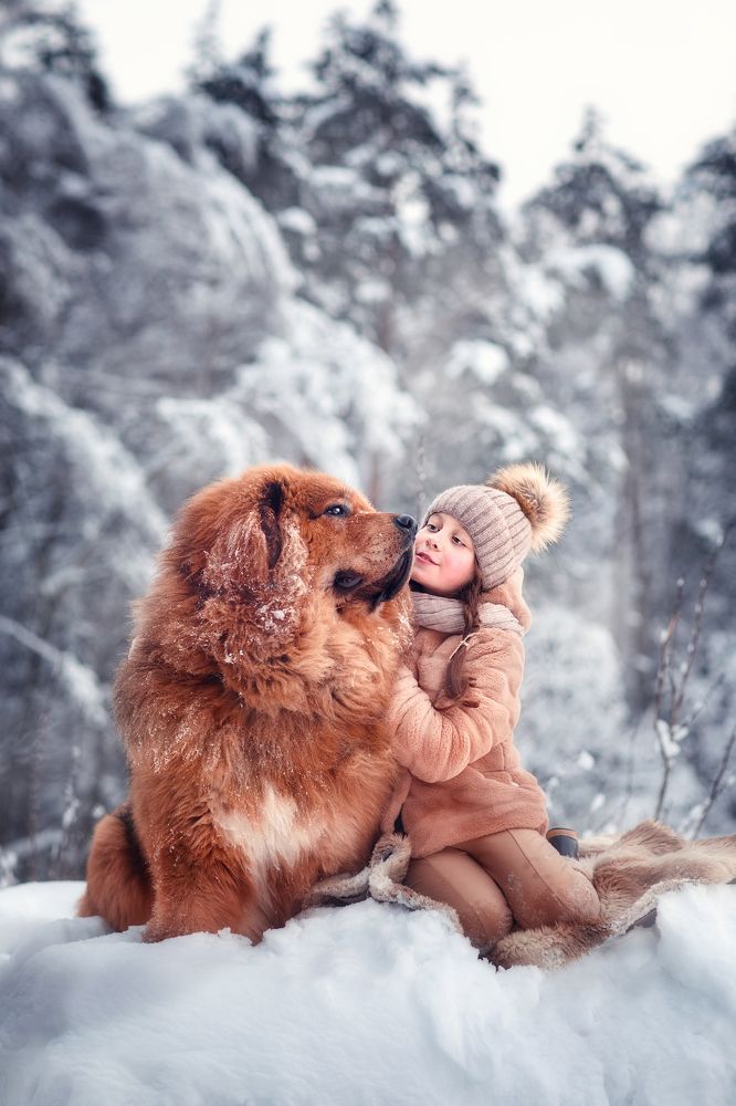 Фотография автора Мария Аксенова