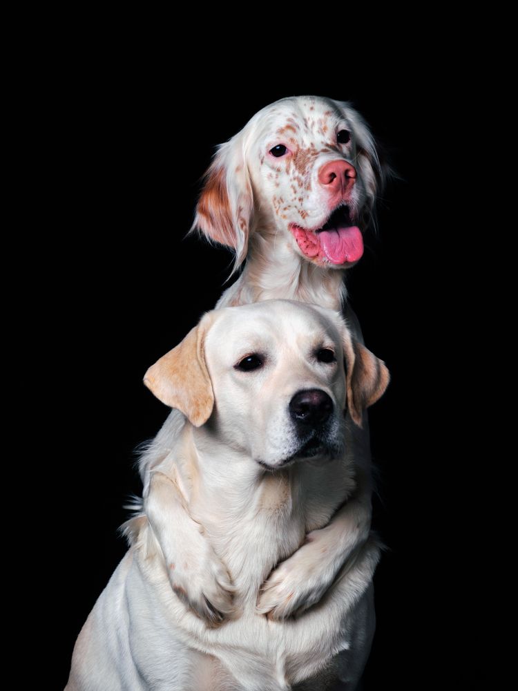 Друг пришёл