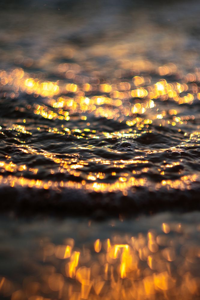 Golden Wave