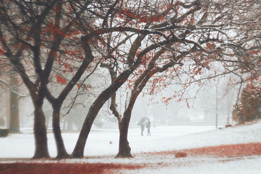 Заснеженное свидание...