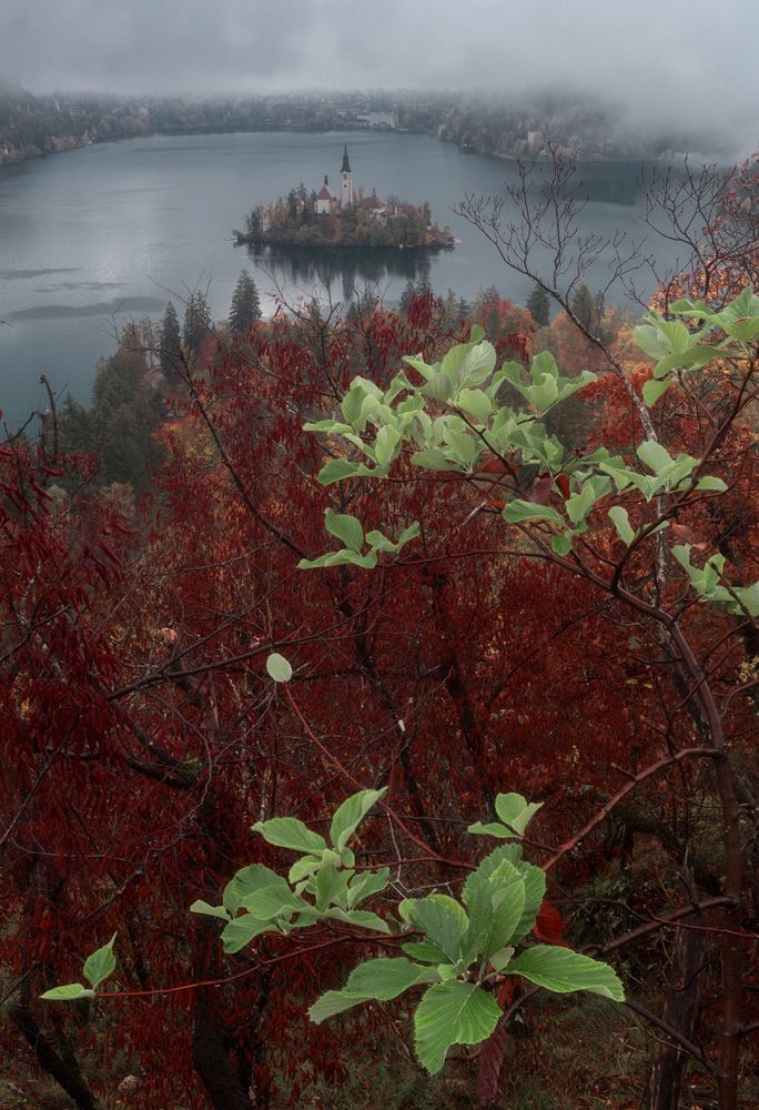 Пасмурное утро