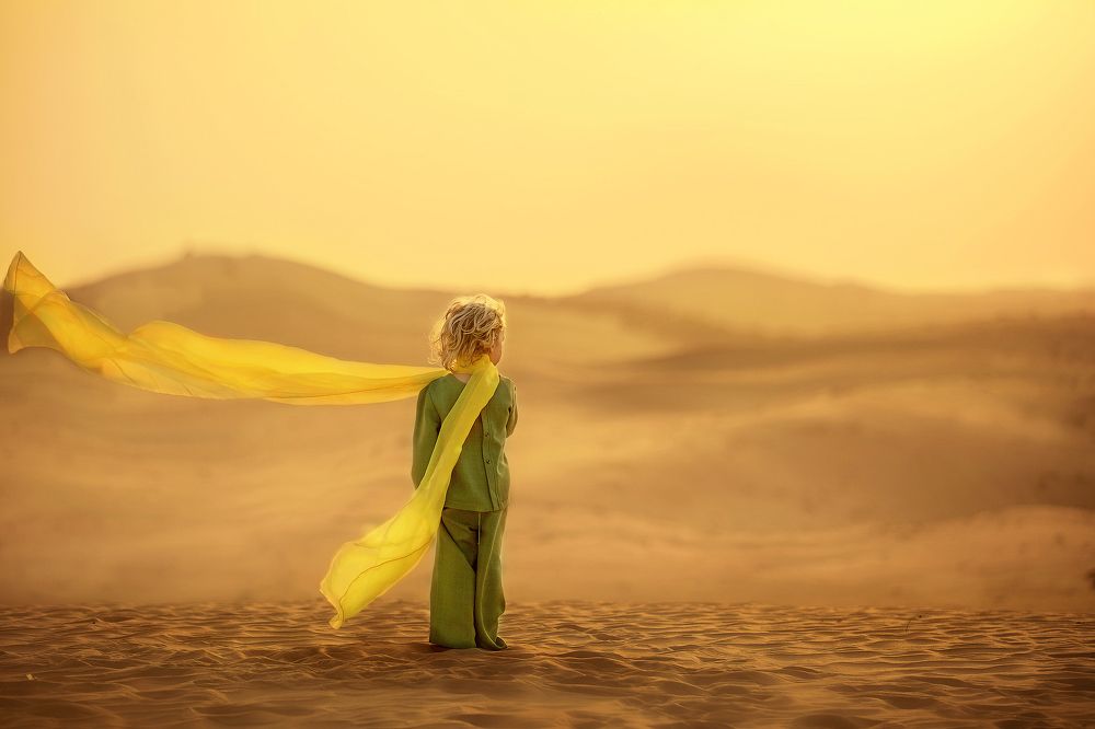 Маленький принц