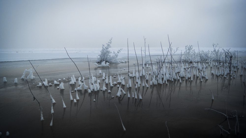 В конце ноября.