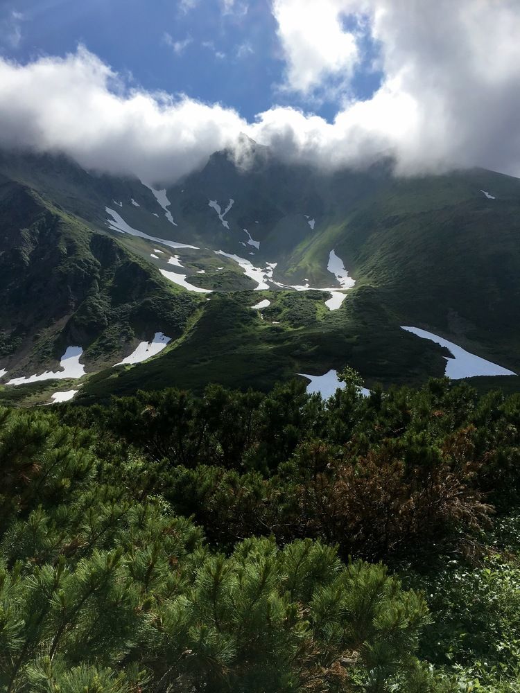 Photograph by Алина Чеснокова