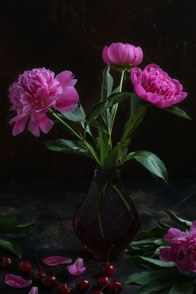 Время пионов и черешни