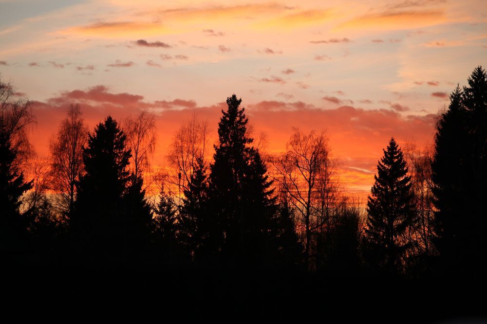 Photograph by Ekaterina Stasenko