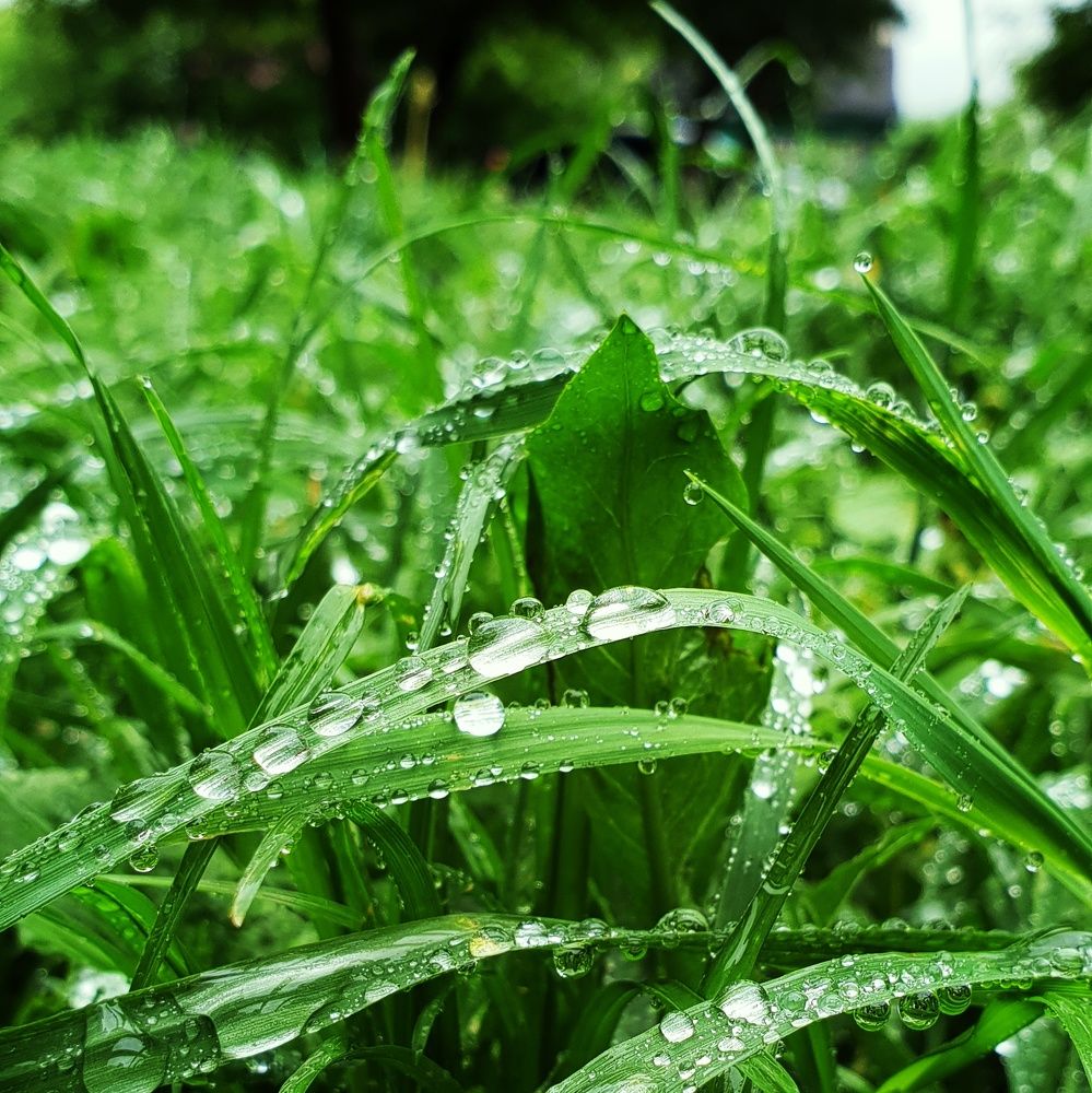 Photograph by Полина Карпова