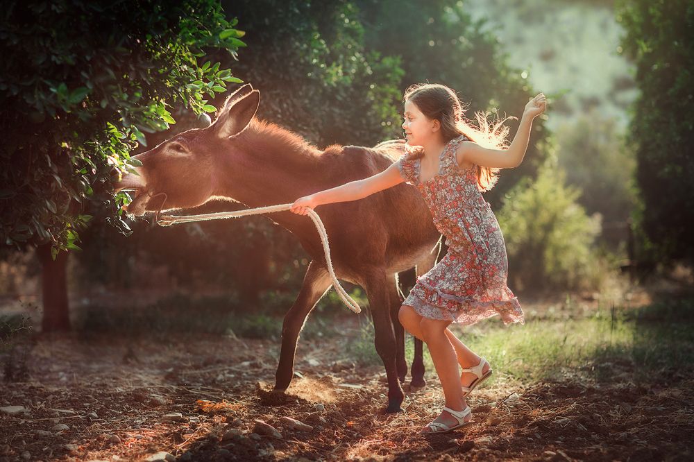 Прожорливый друг