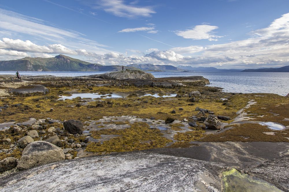 После отлива