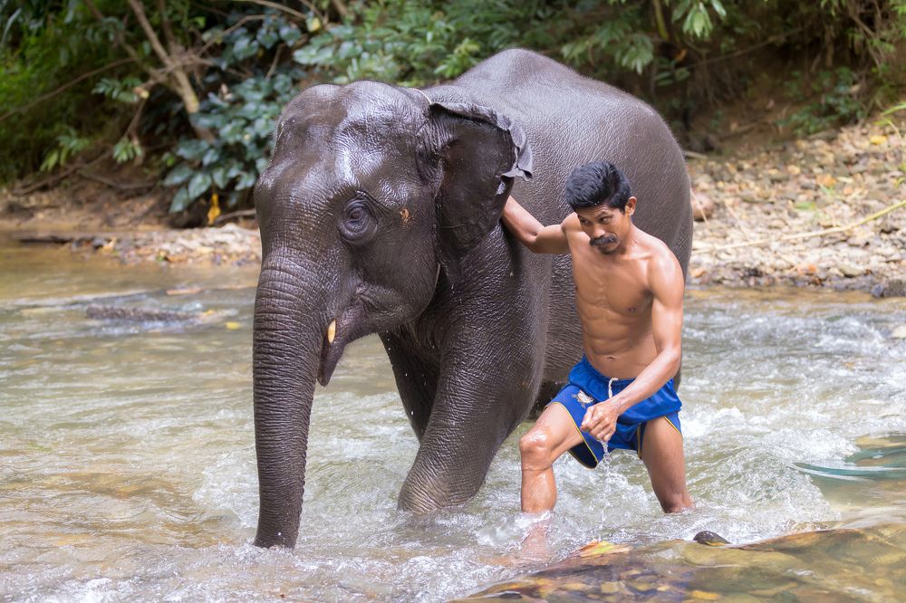 Преодоление стихии
