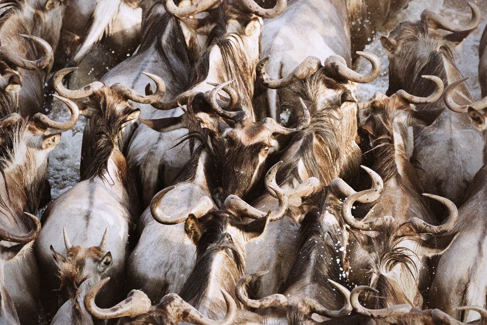 Против течения