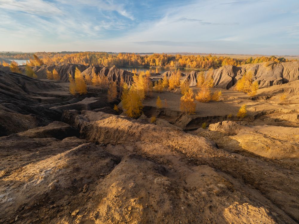 Золотое утро