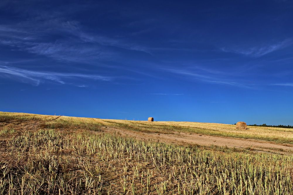 Безмятежность