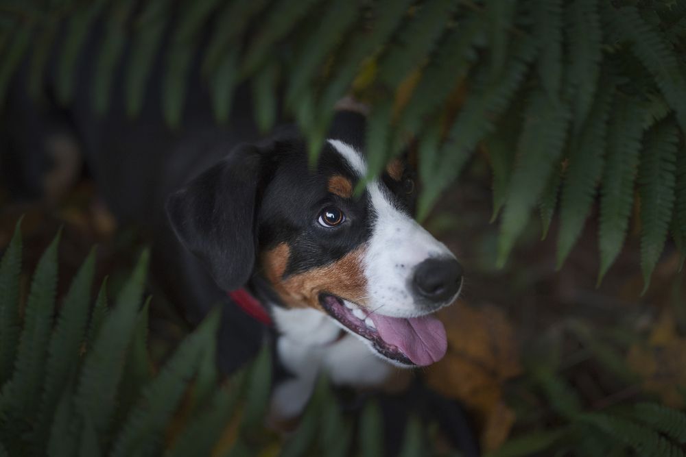 Photograph by Karina Saarestik