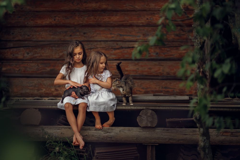 Photograph by Костюк Зоя