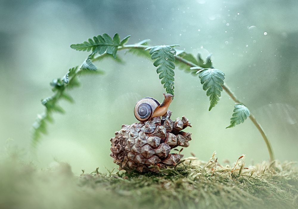 Таинство жизни