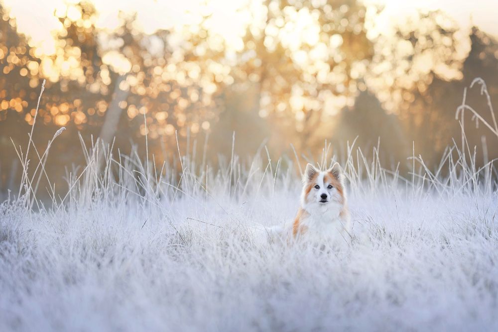 Photograph by Karina Saarestik