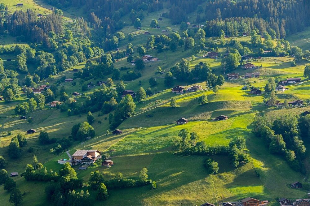 Фотография автора Андрей Симонов