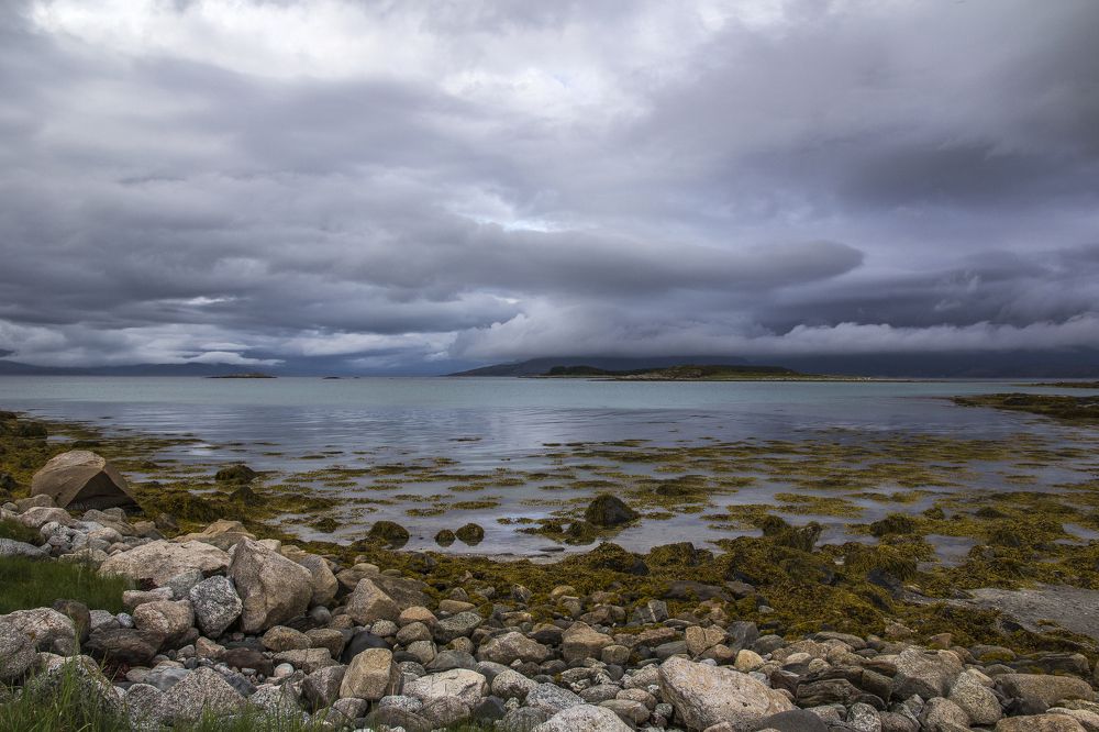 Перед штормом