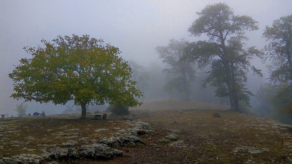 Photograph by Mahdi Mojaver