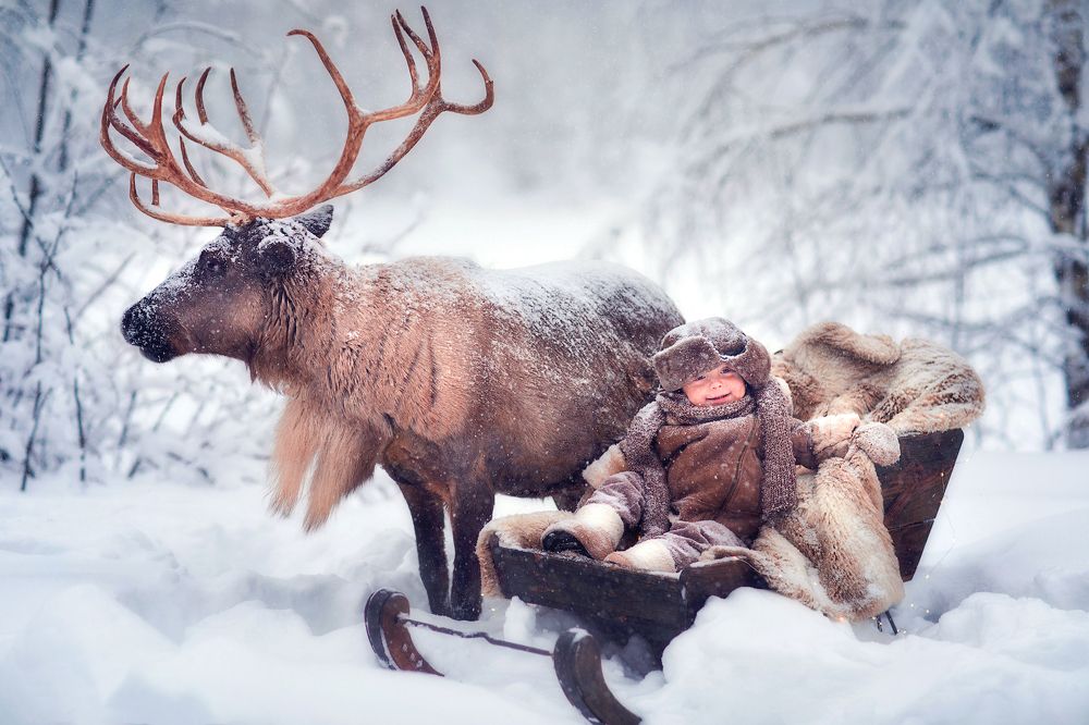 Фотография автора Мария Аксенова