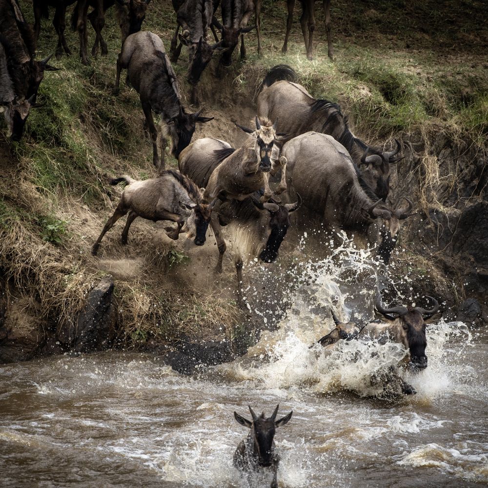 Первый круг