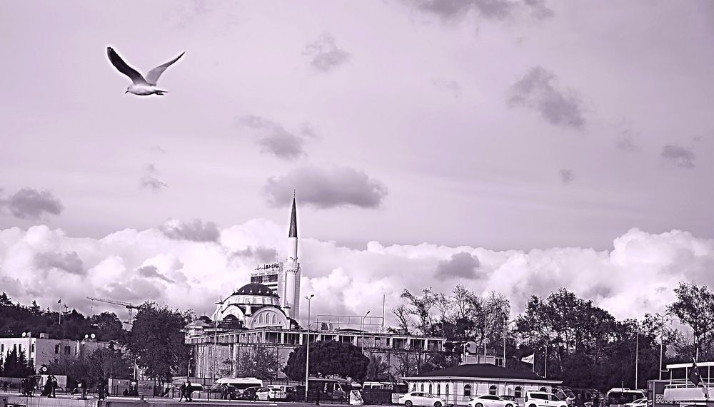 Photograph by Erkut Tulgar