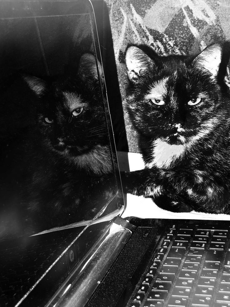 Фотография автора Владислава Андрюнина