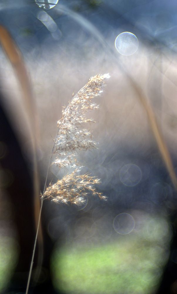 Воздушность