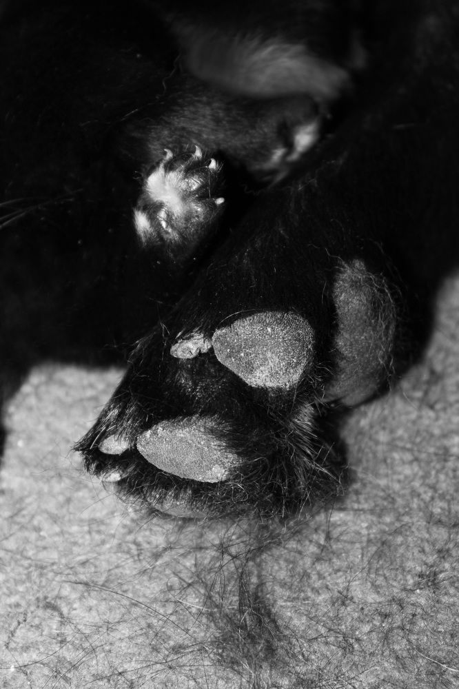 Фотография автора Владислава Андрюнина